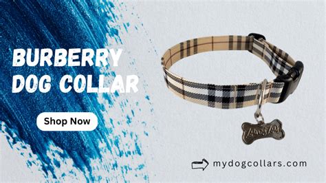 dog burberry shirt|Burberry dog collar.